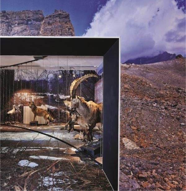 Musée de la nature du Valais © Musées cantonaux du Valais