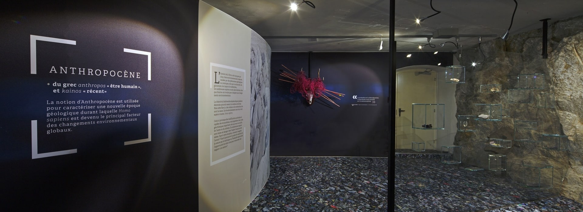 Musée de la nature du Valais © Musées cantonaux du Valais. Photo-genic.ch Denis Emery