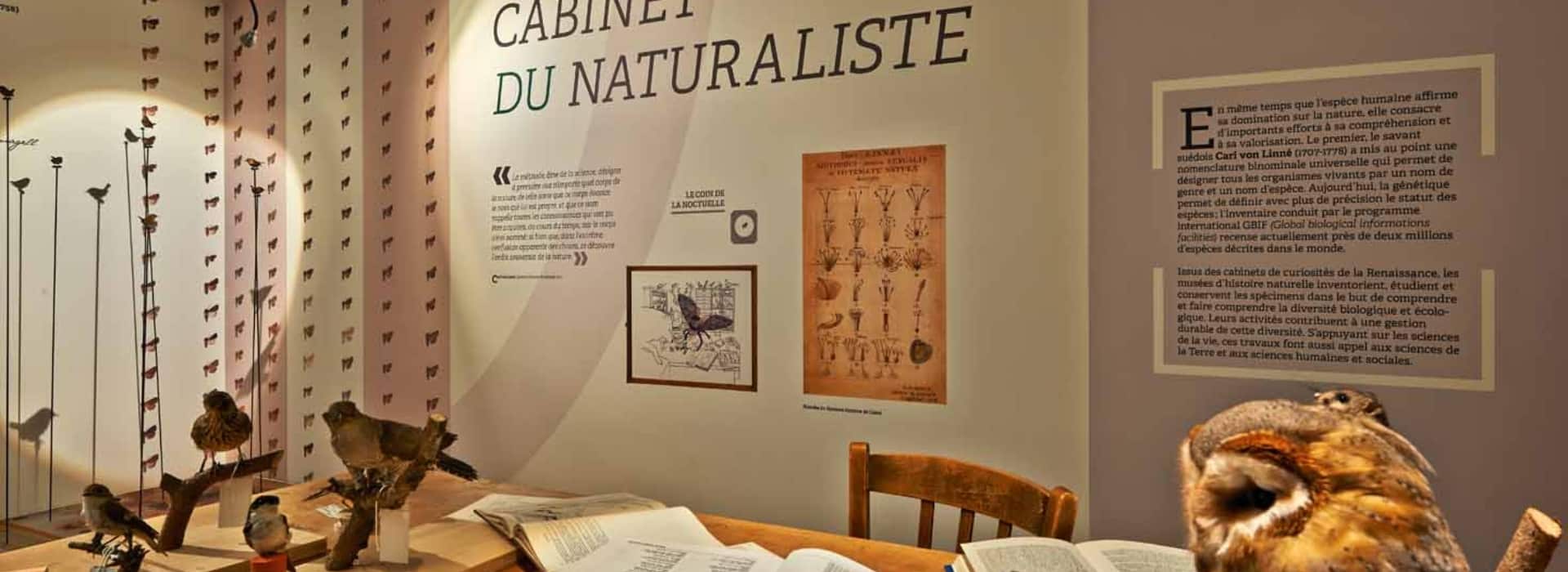 Musée de la nature du Valais © Musées cantonaux du Valais. Photo-genic.ch Denis Emery